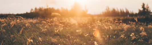 Collagen 500 Plus: Q+A with our founder Henrietta