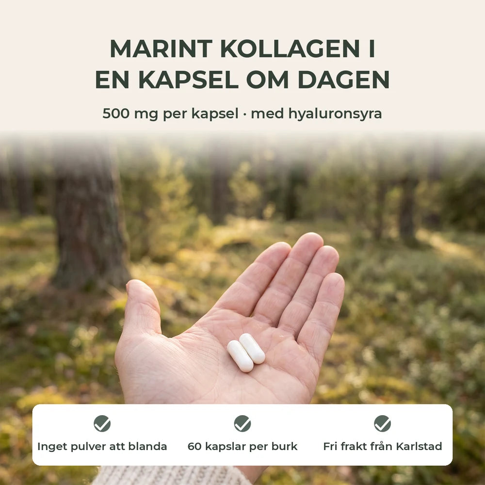 Vitanord Kollagen Plus